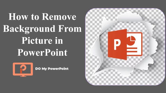 How to remove background from picture in PowerPoint